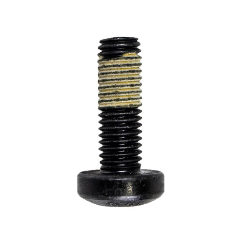 Can-Am OEM Scotch Grip Pan Head Torx Screw (M10 x 30), 250000848