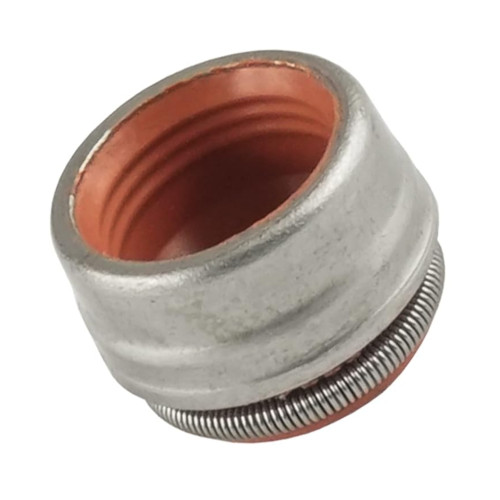 Can-Am New OEM Valve Stem Seal, 420430420