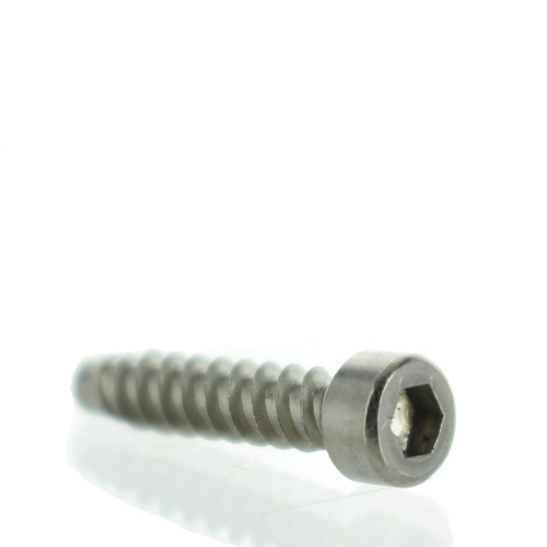 Johnson Evinrude OMC OEM Carburetor Adjustment Screw, 0330346