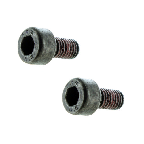 Polaris New OEM Socket Head Screw (M5 x 10) Set Of 2, 7517725