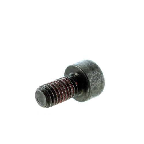 Polaris New OEM Socket Head Screw (M5 x 10) Set Of 2, 7517725