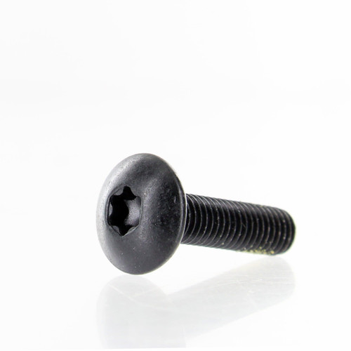 Can-Am New OEM Torx Screw M5 x 20, 250000724
