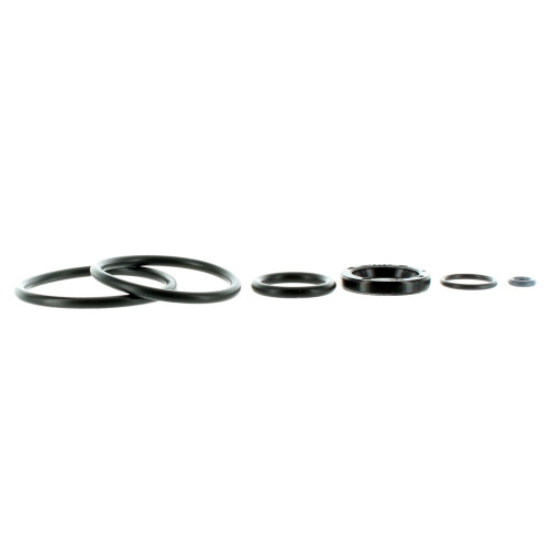 Johnson Evinrude OMC New OEM Trim/Tilt Cylinder O-Ring Pack, 0769207, 0390007