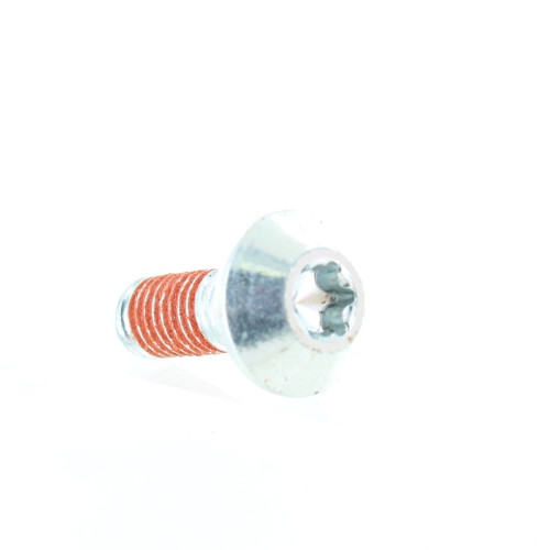 Can-Am OEM Torx-Truss M/S M5 X 14 S.Grip, 250000763