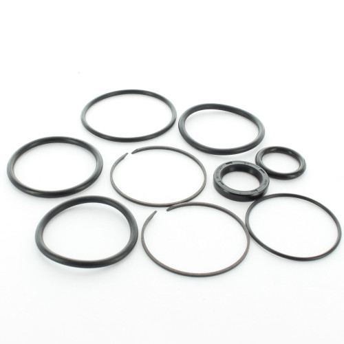 Johnson/Evinrude/OMC New OEM Sterndrive Trim/Tilt Cylinder Seal Kit, 0985060