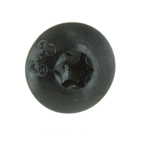 Ski-Doo New OEM Torx Screw M6 X 16 250000717