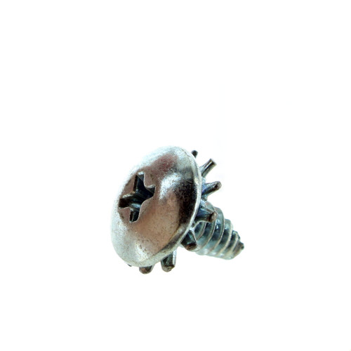 Polaris New OEM Screw With Star Washer, 7511953