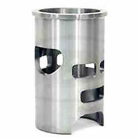 Ski-Doo New OEM Cylinder-With Sleeve 420613605