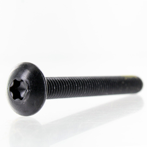 Can-Am New OEM Nylon Patch Torx Screw, 250000868