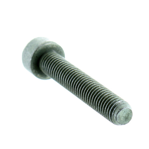 Mercury Marine New OEM Screw M5 X 30 10-4007330