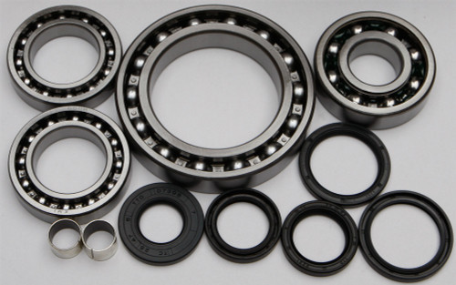 ALL BALLS Differential Bearing & Seal Kit, 22-52059