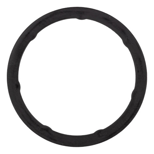 Polaris OEM Gasket-Tensioner, 5814753