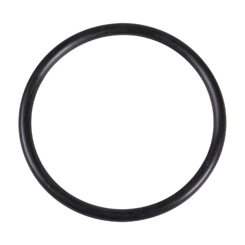 Polaris OEM O-Ring, 2-226  1600018, 1800863