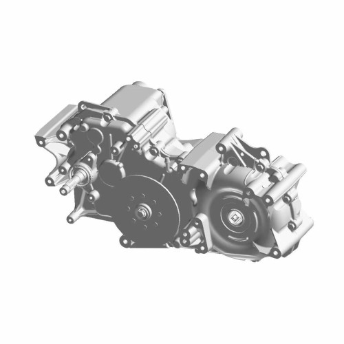 Polaris OEM Main Gearcase Assembly, 1332818