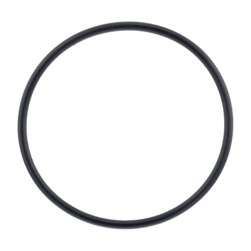 Polaris OEM O'ring, 0454549