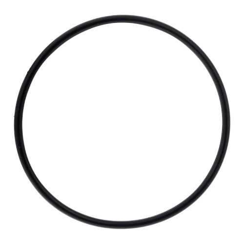 Polaris OEM O-Ring, 0452613
