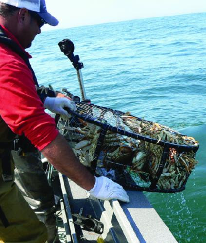 Polaris OEM Mule 4000/4010 Full Fold W/S, 2500