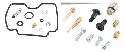ALL BALLS Carburetor kit, 226-1524