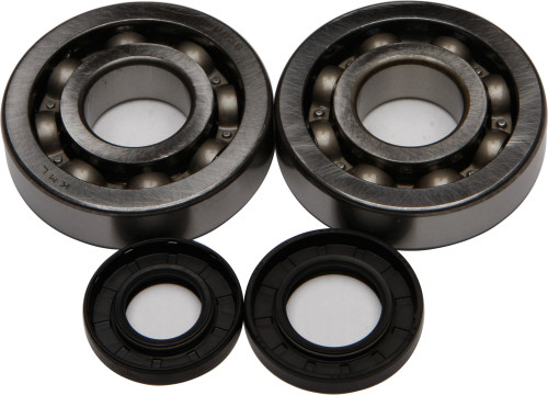 ALL BALLS Crankshaft Bearing & Seal Kit, 22-41047
