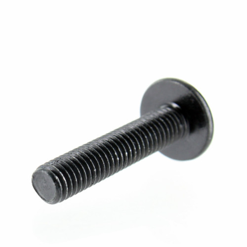 Can-Am OEM Torx Truss Screw M6 X 30 Nylon 50 Pack, 250000398
