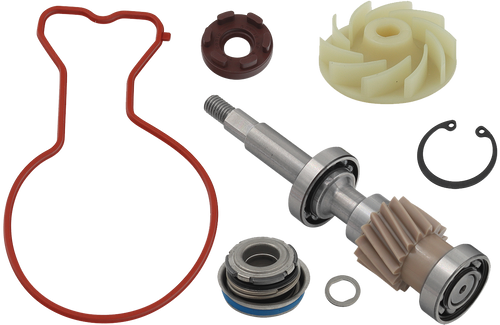 SP1 Water Pump Repair Kit, 125-90933
