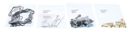 ALL BALLS Carburetor Rebuild Kit, 226-1614