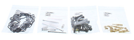 ALL BALLS Carburetor Rebuild Kit, 226-1667
