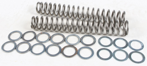 RACE TECH High Performance Fork Springs, 200-3825085