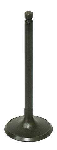 BRONCO Intake Valve, 183-09191