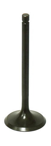 BRONCO Intake Valve, 183-09518