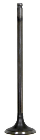 BRONCO Intake Valve, 183-09192