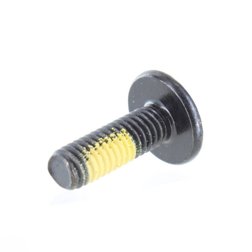 Can-Am New OEM Torx Screw M6 X 18 Pack of 2, 250000779