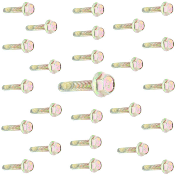 Can-Am OEM Hexagonal Flange Screw (M6 X 30) 25 Pack, 250000253