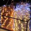 20m Plug In Copper Seed Lights *