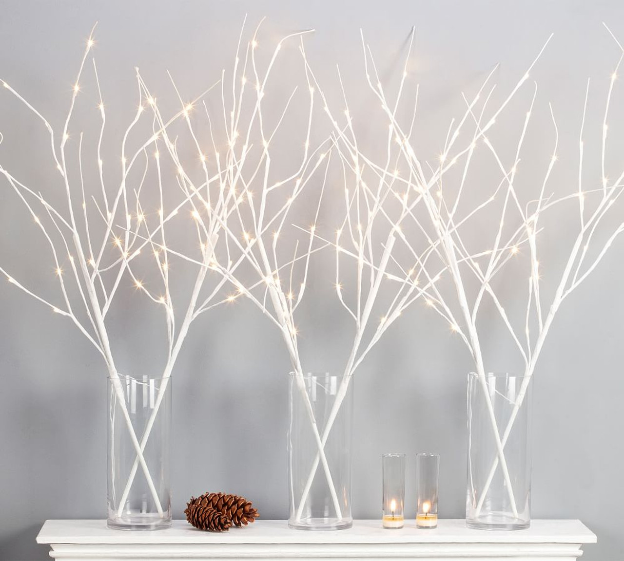 Wedding Centerpiece, 6 White Tree Branches, Decorative Branches