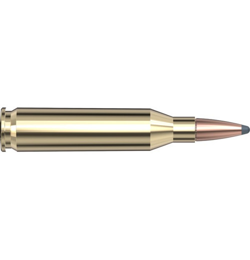 HORNADY WHITETAIL 243win 100gr Interlock