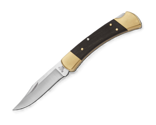 BUCK FOLDING HUNTER 110