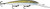 RAPALA DOWN DEEP HUSKY JERK 12 OLIVE GHOST