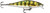 RAPALA SHADOW RAP 11 LIVE PERCH