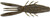 RAPALA CRUSHCITY BRONCO BUG 4" GREEN PUMPKIN