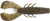 RAPALA CRUSH CITY CLEANUP CRAW 3.5" GREEN PUMPKIN