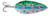 BLUE FOX STROBE SPOON #1 RAINBOW TROUT