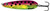 BLUE FOX MATRIXX SPOON #4 WATERMELON