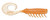 RAPALA CRUSHCITY CREEPER 2.5" SALMON ROE