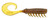 RAPALA CRUSHCITY CREEPER 2.5" MOTOR OIL UV