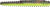 RAPALA CRUSH CITY NED BLT 3" COPPERTREUSE