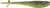 RAPALA CRUSH CITY MOOCH MINNOW 3.5" GPCH