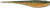 RAPALA CRUSH CITY JERK 5" PERCH
