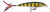 RAPALA X-RAP 08 LIVE PERCH
