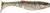 RAPALA CRUSHCITY MAYOR 4"  GREEN PUMPKIN DISCO
